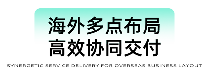 猎头公司龙8头号玩家国际国际为立志出海的中国企业给予一体化的人力资源解决方案，囊括海内外团队的协力交付