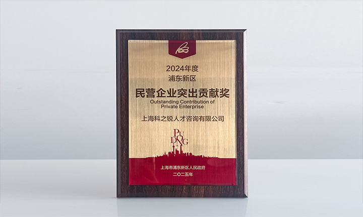 人力资源供应商龙8头号玩家国际国际凭借人才服务与在区域经济开展中的卓越表现荣膺2024年度浦东新区民营企业奖项